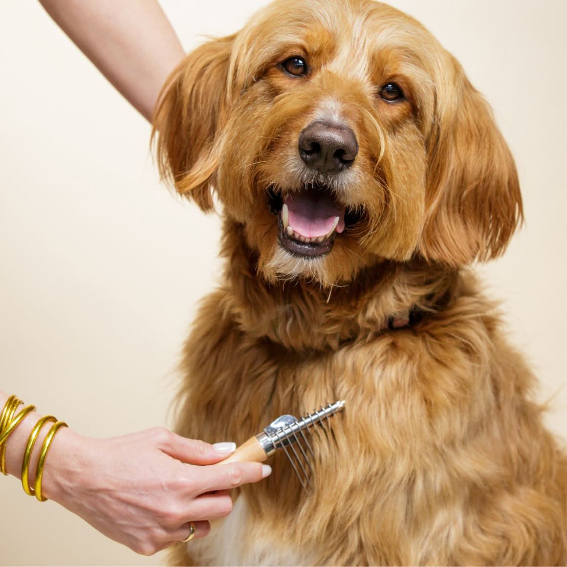 Dematting Rake for Dogs - Dematting Tool