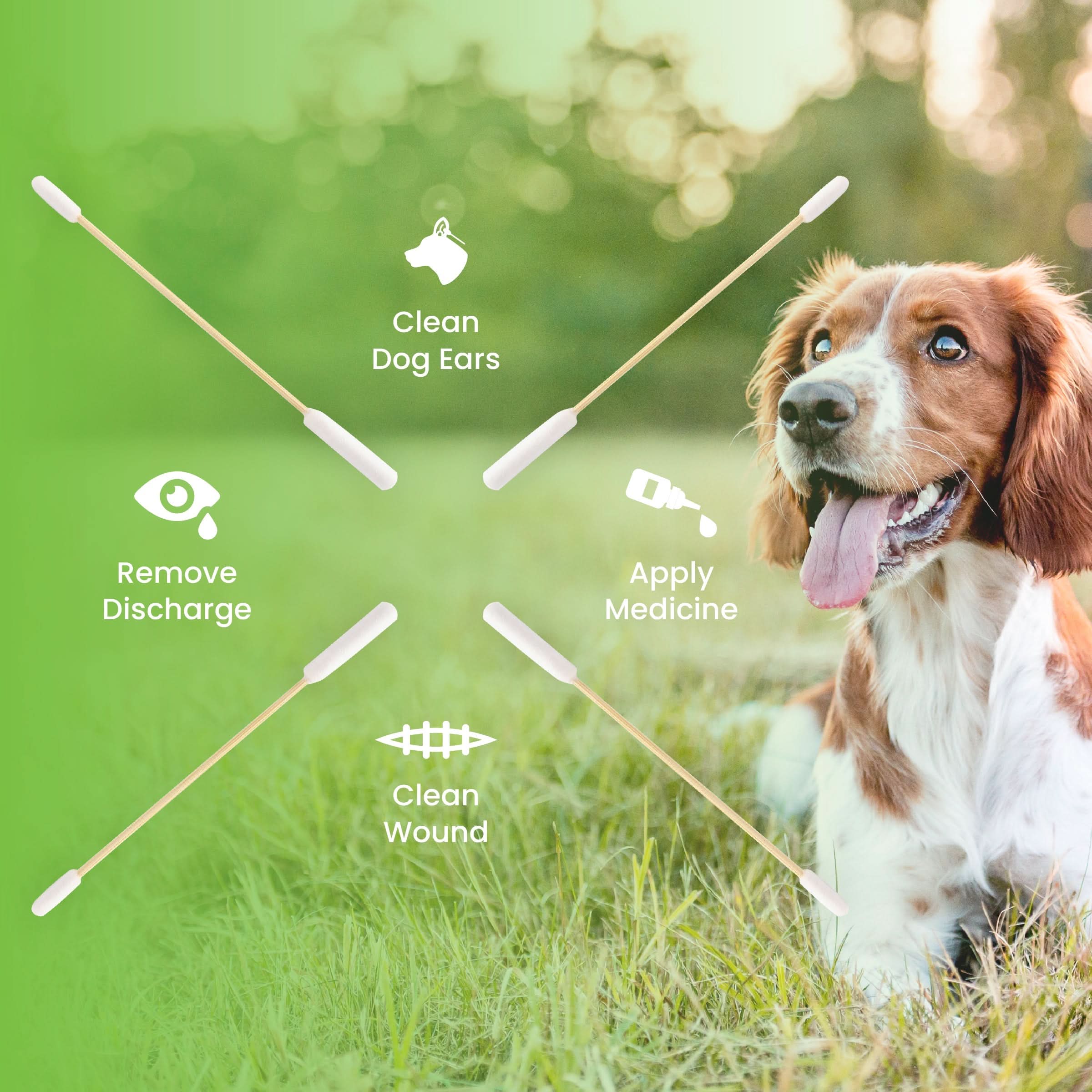Dog Ear Swabs