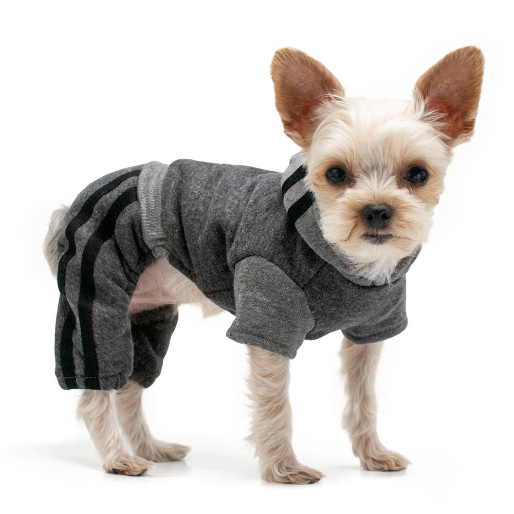 DOGO Lounge Dog Tracksuit
