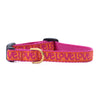 Up Country Love Small Breed Dog Collar Made in USA