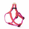 Up Country Love Small Breed Dog Harness Made in USA