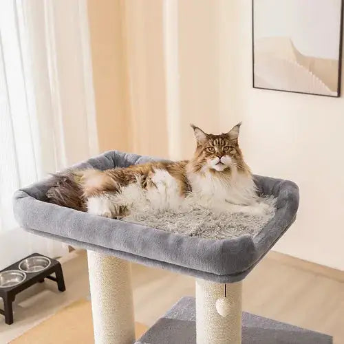 PetPals 57” Lulu Grand Cat Tree – Built for Big Cats