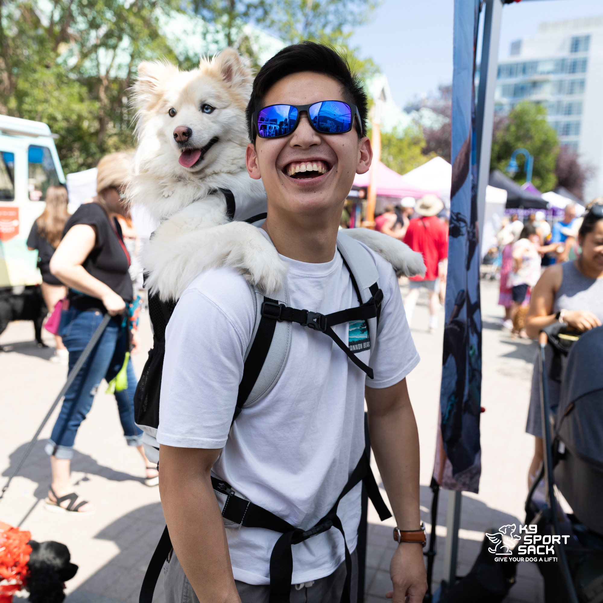 Knavigate | Advanced Dog Carrier with Internal Frame & Hip Belt