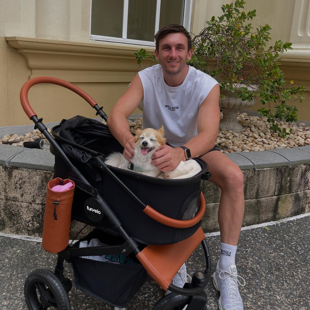 Furvelo Jogger All-Terrain Pet Stroller