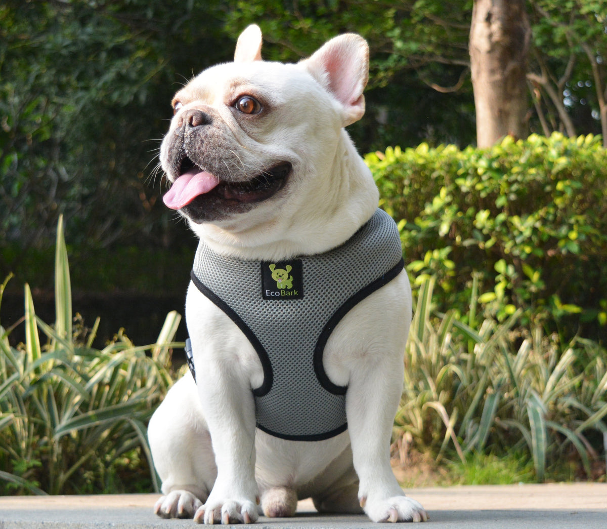 EcoBark – Gray Max Comfort Dog Harness