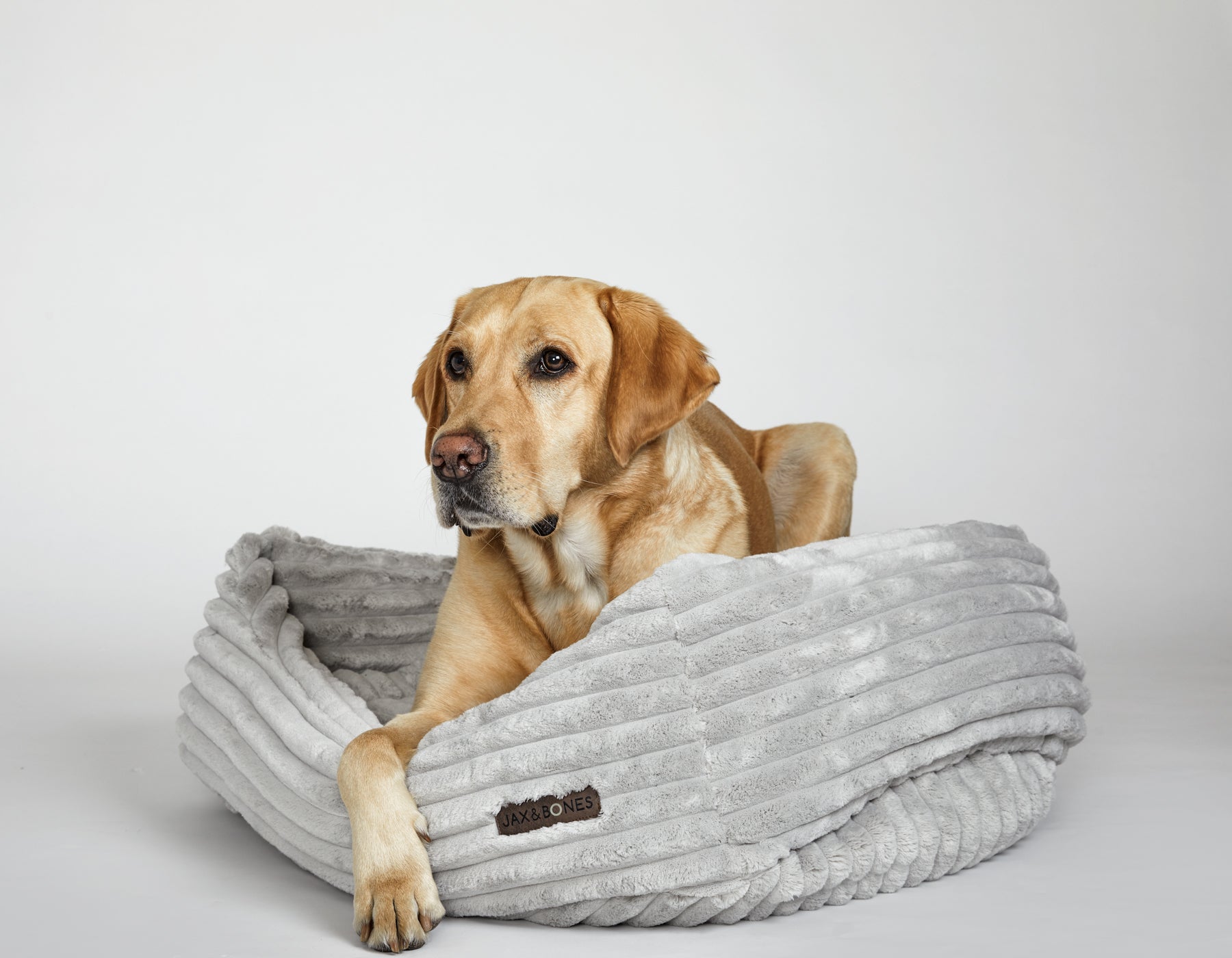 Luna Grey Napper Bed | HT Animal Supply