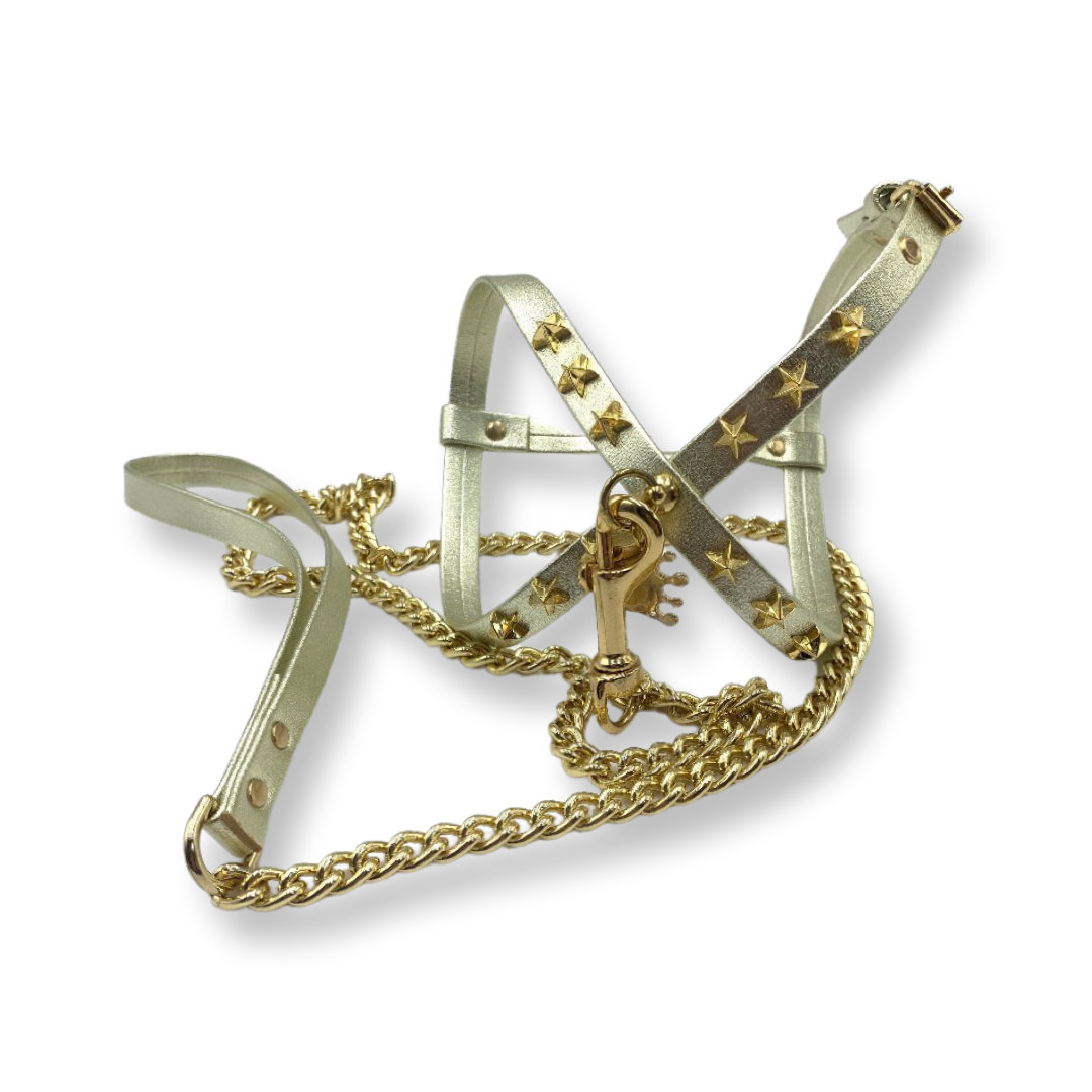 Fashion Dog Harness and Chain Leash Set - Gold with Gold Stars