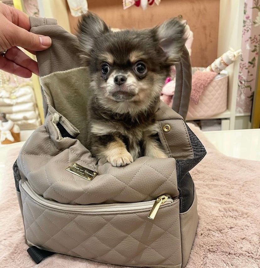 Dog Pouch Carrier - Beige