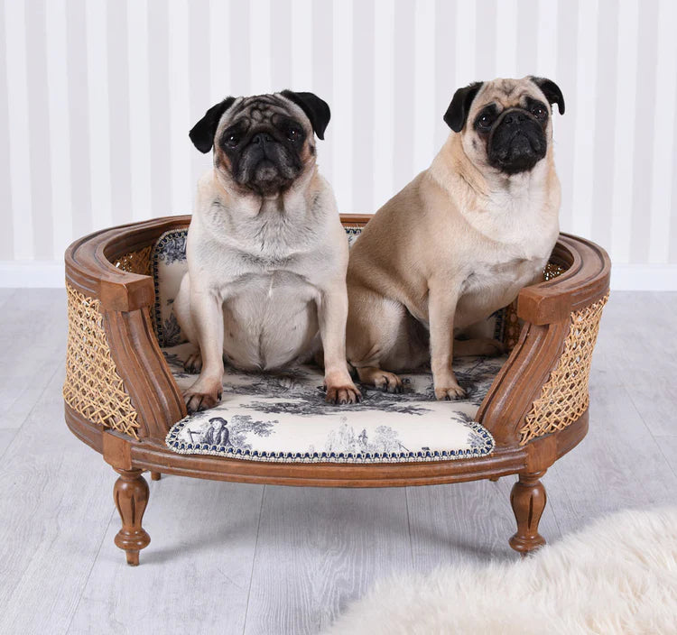 French Style Antique Luxury Dog and Cat Bed