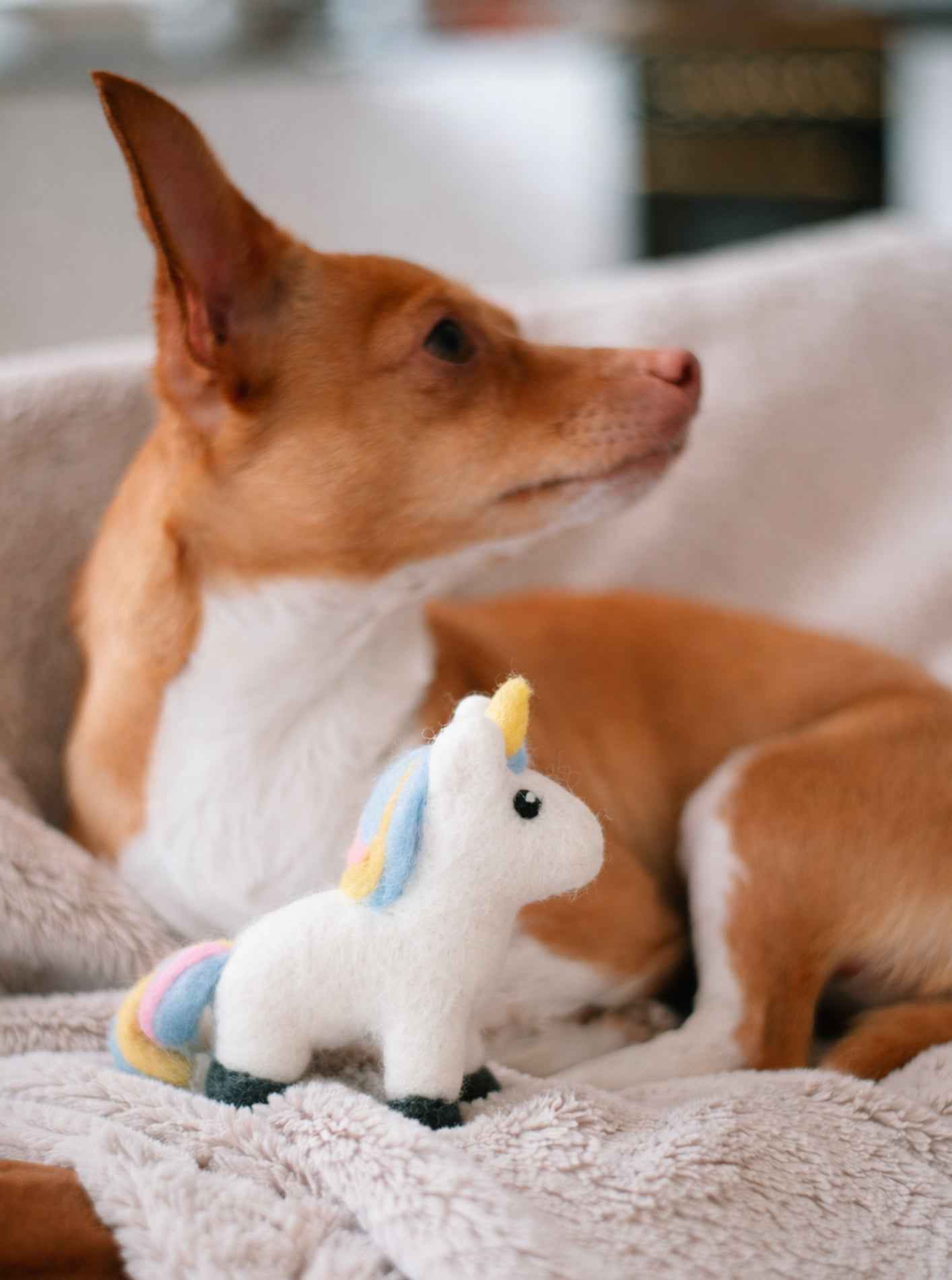 Magical Unicorn from A Purposeful Rescue