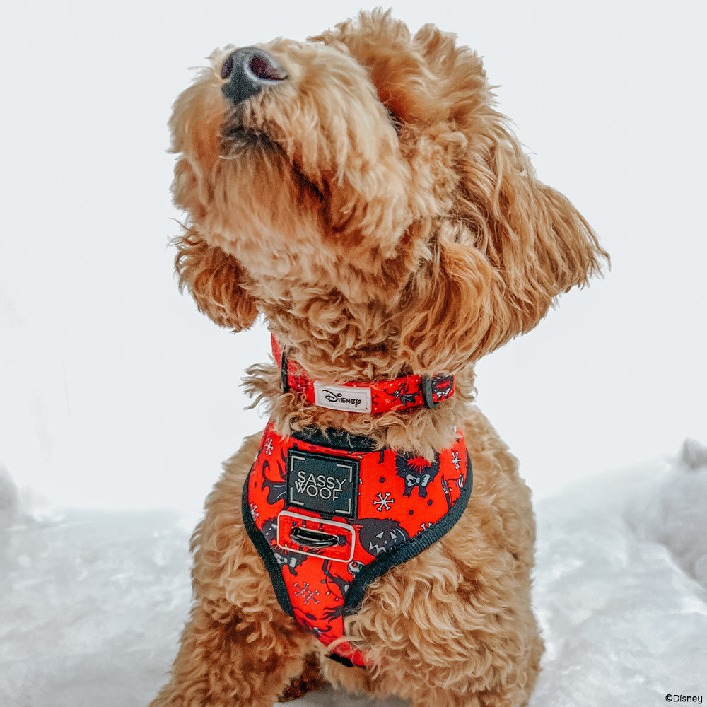 Dog Collar - The Nightmare Before Christmas™ (Red)