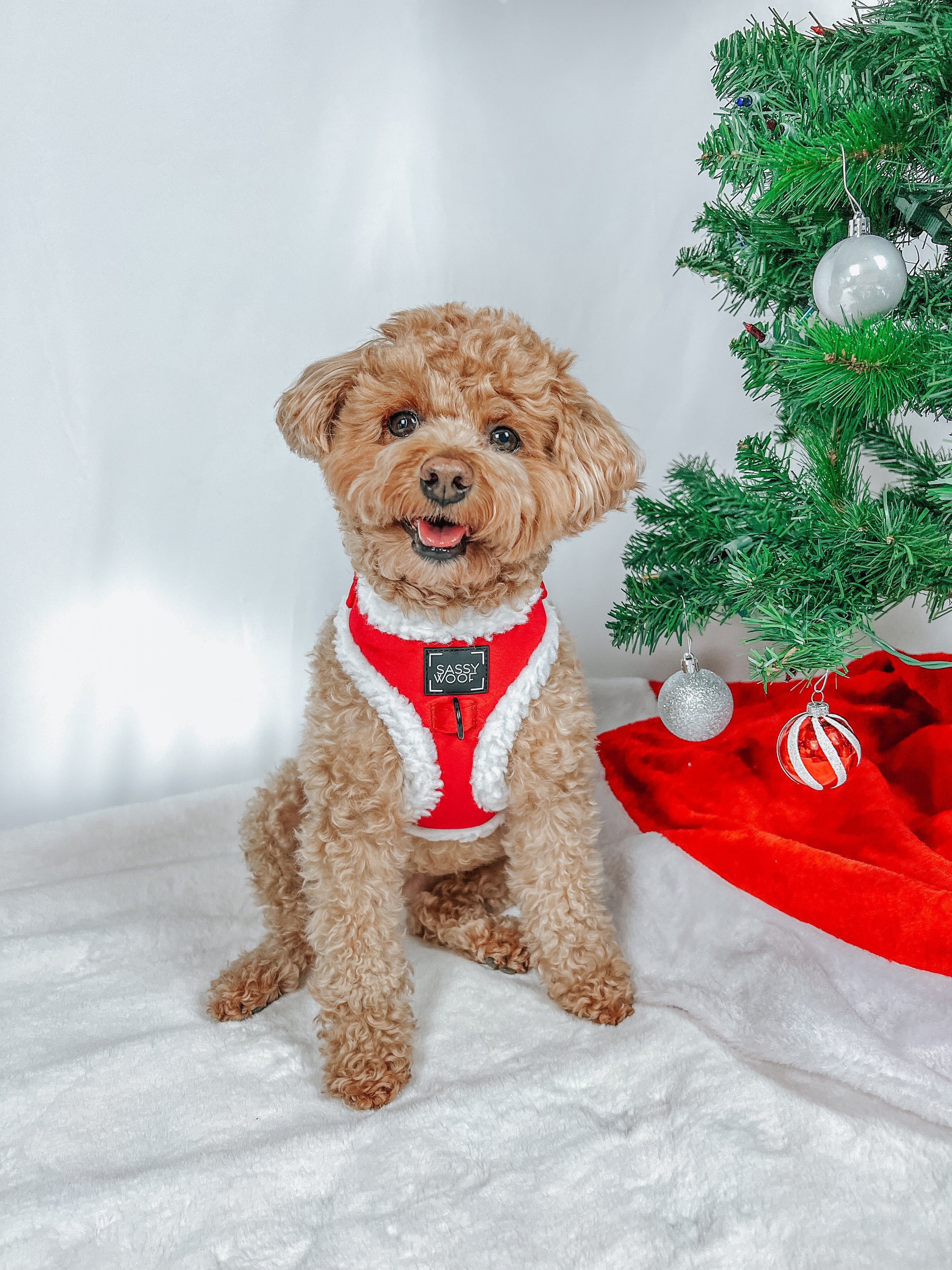 Dog Adjustable Harness - Naughty