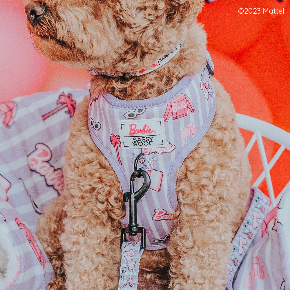Dog Collar - BARBIE™ Closet Goals
