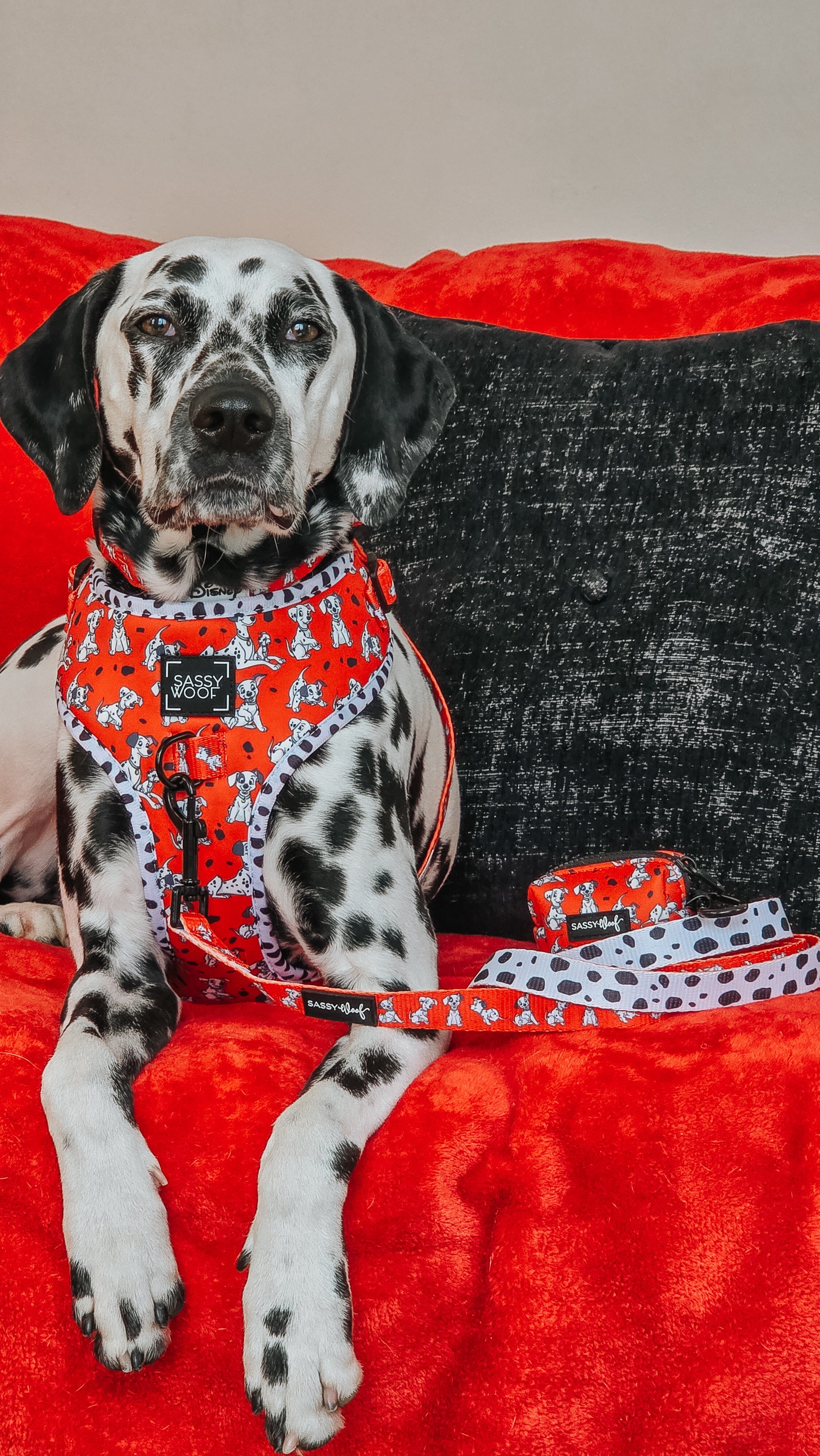 Dog Adjustable Harness - Disneys 101 Dalmatians