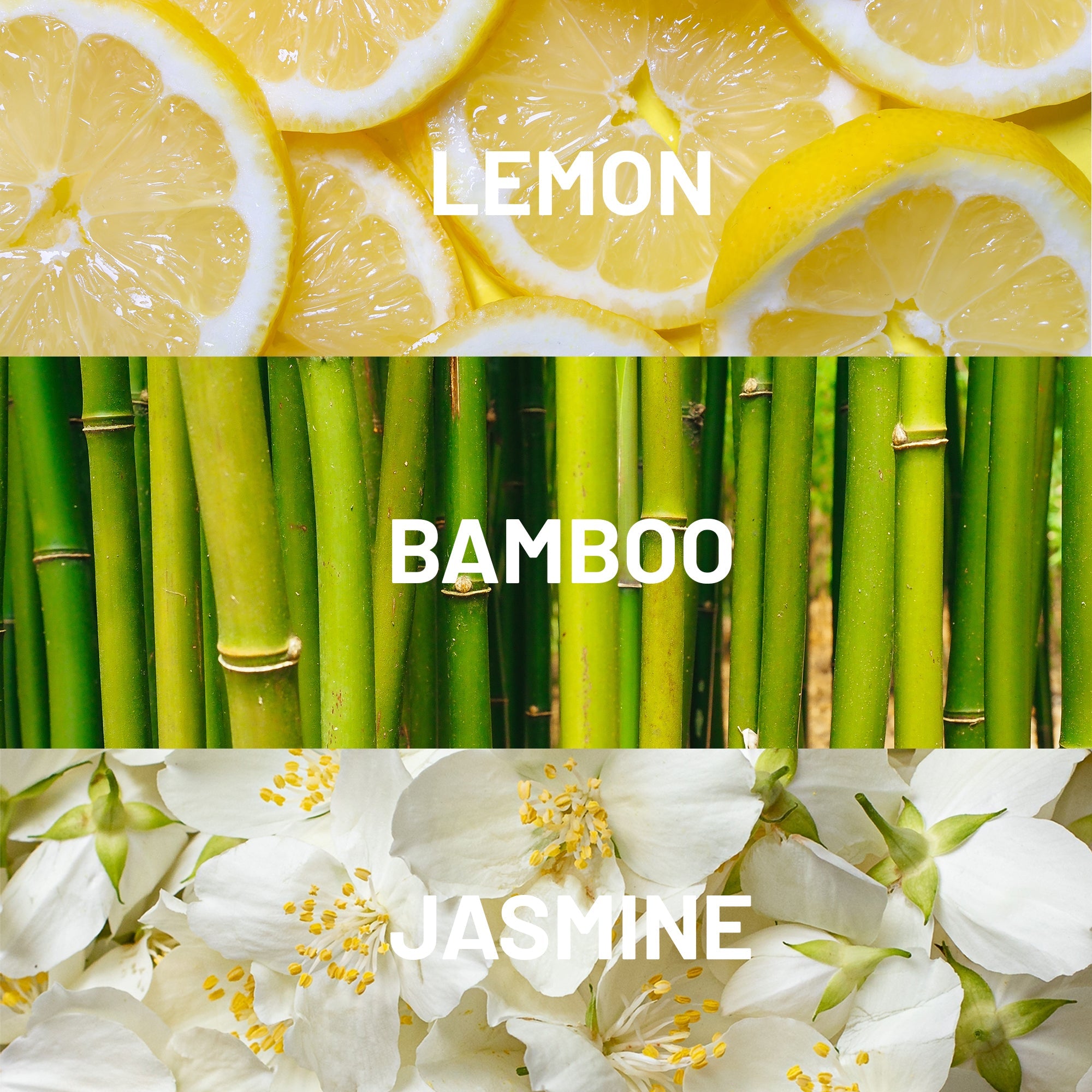 Hotel Collection Mandarin Fragrance Oil