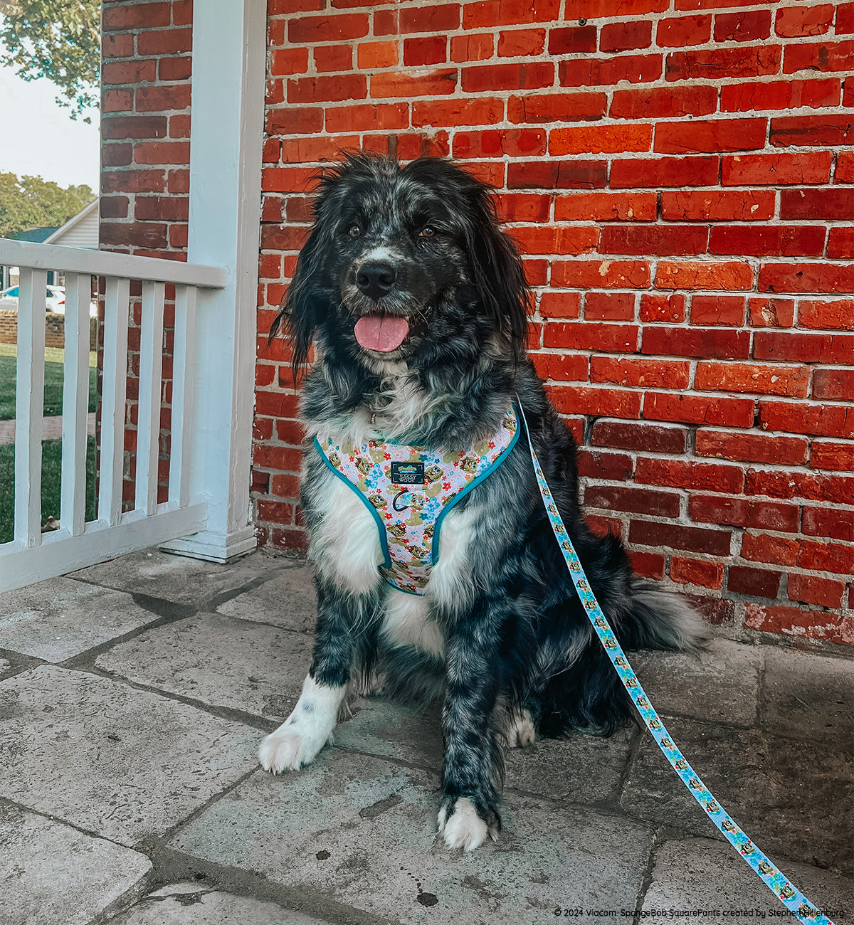Dog Adjustable Harness - SpongeBob SquarePants™ Bikini Bottom