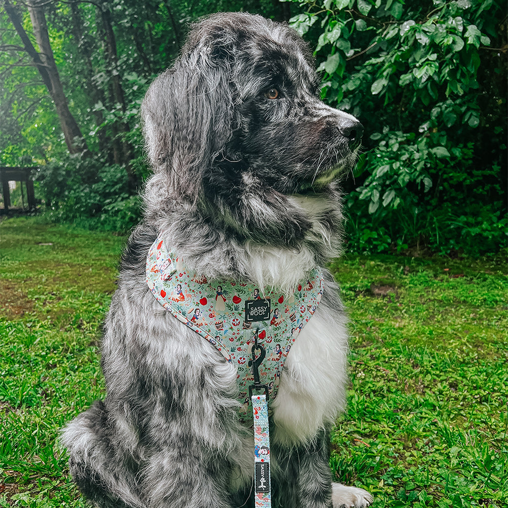 Dog Leash - Disneys Snow White
