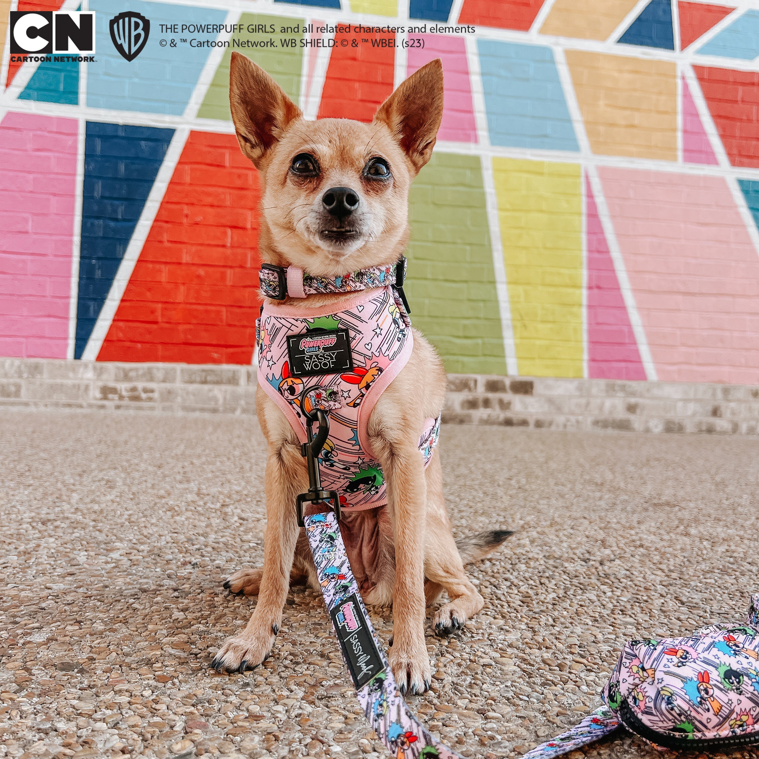 Dog Adjustable Harness - The Powerpuff Girls™ (Pink)