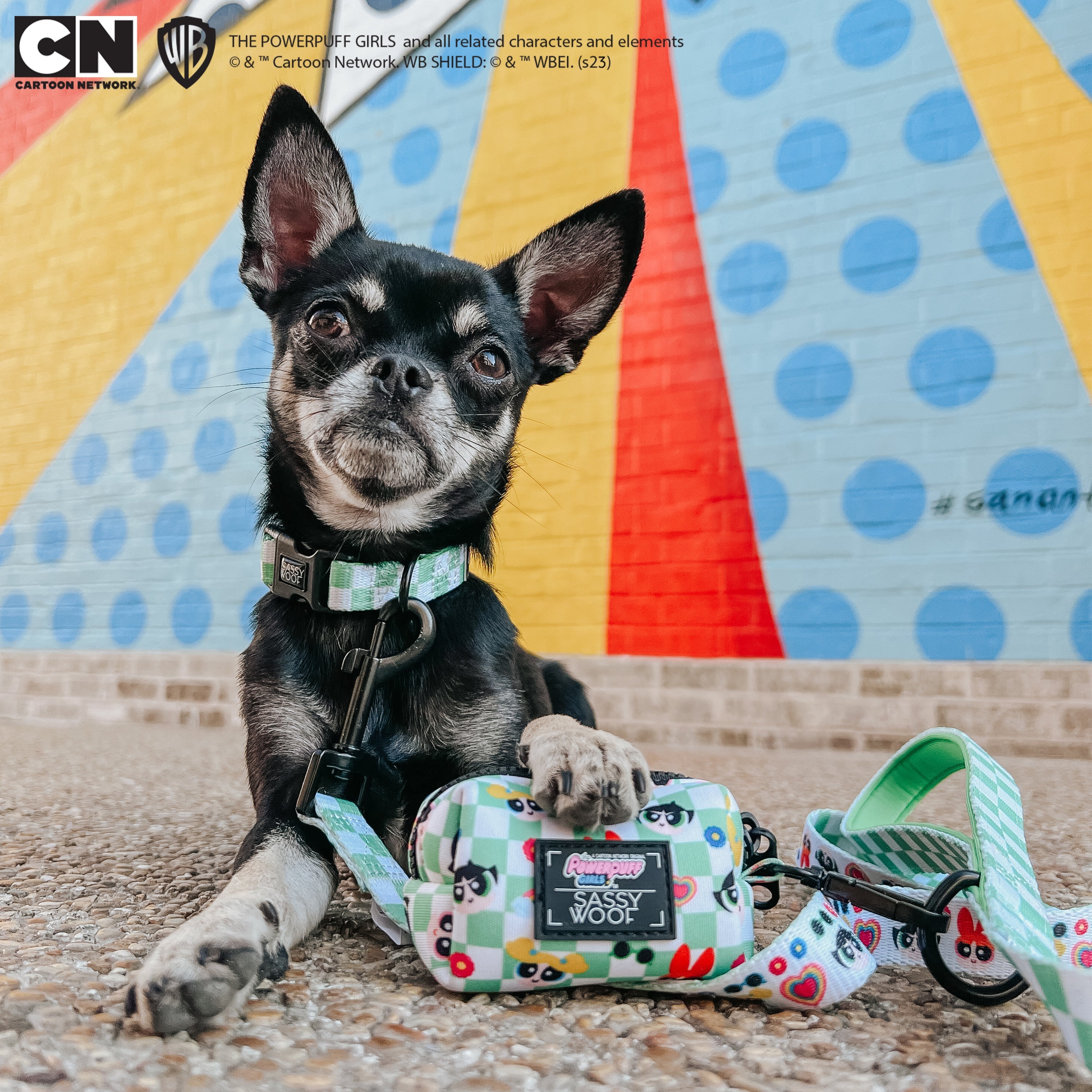 Dog Collar - The Powerpuff Girls™ (Green)