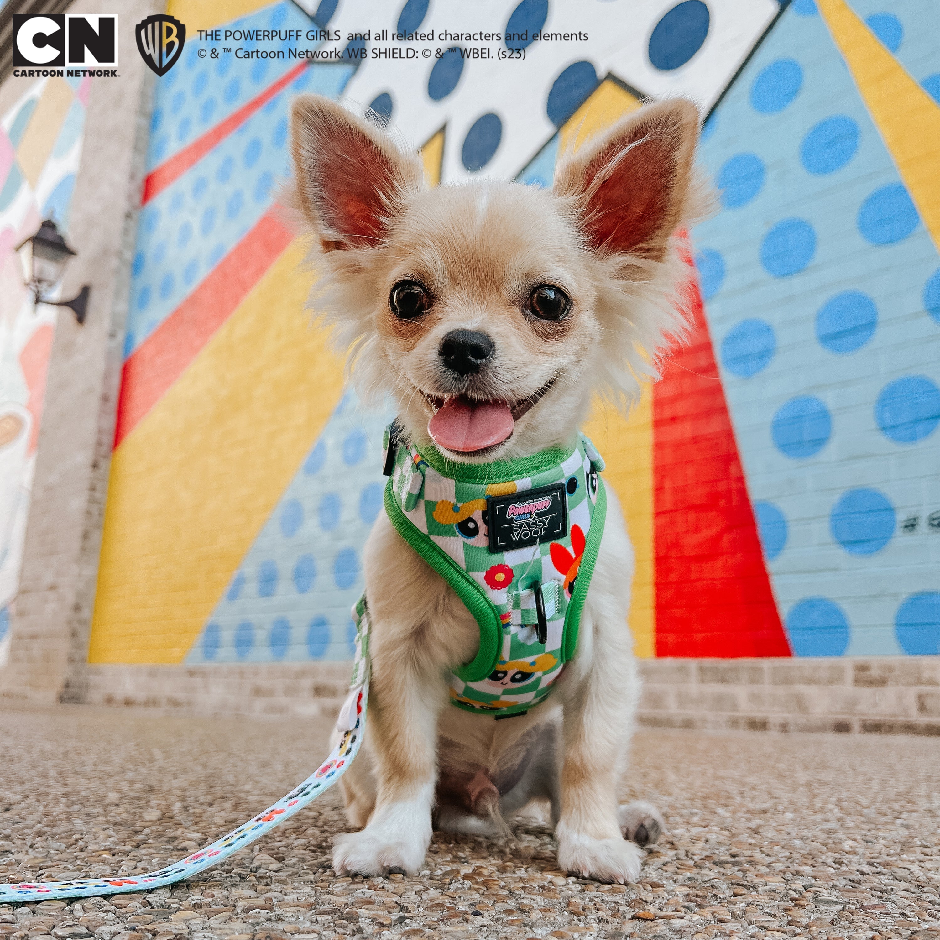 Dog Adjustable Harness - The Powerpuff Girls™ (Green)