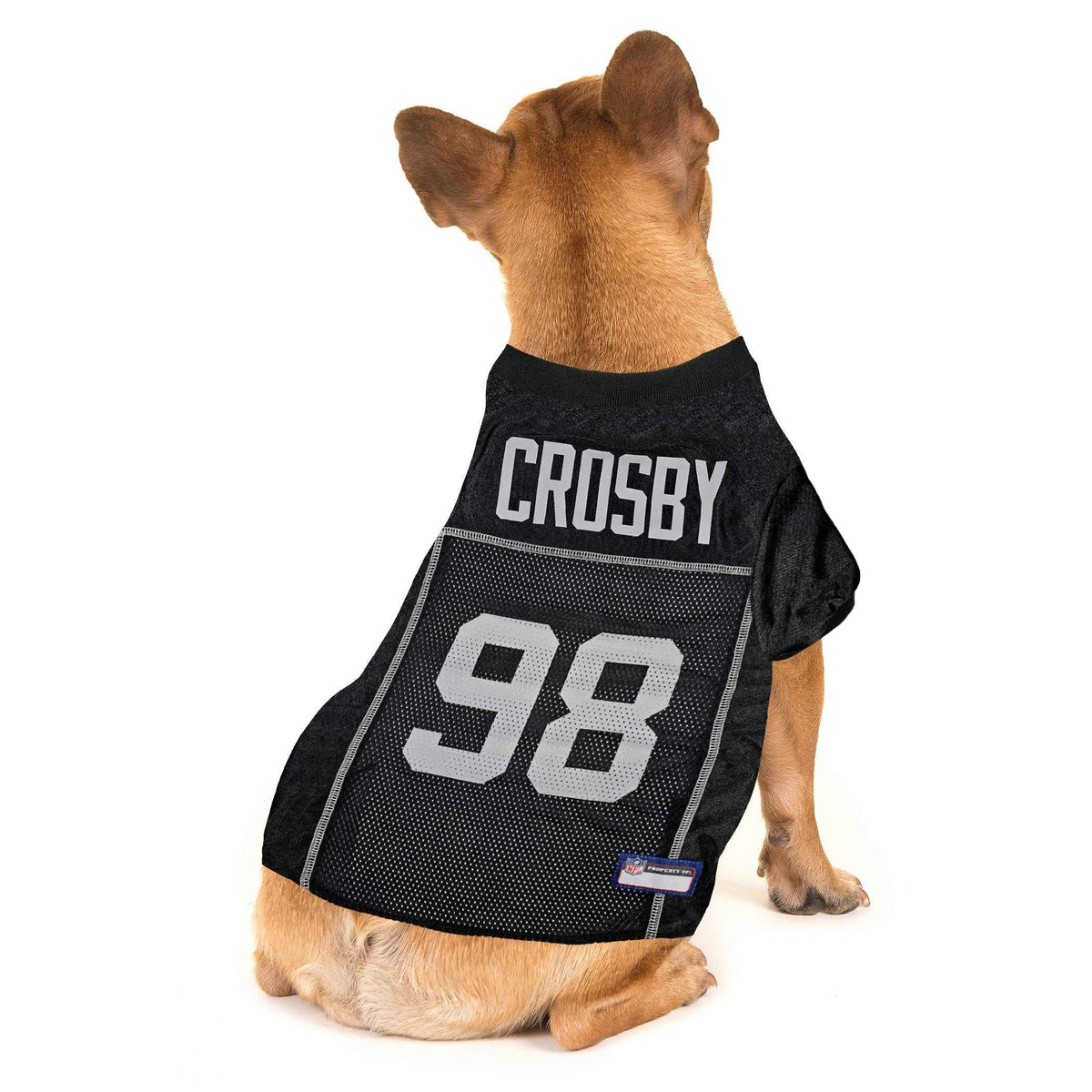 NFL Las Vegas Raiders Maxx Crosby Striped Mesh Pet Jersey