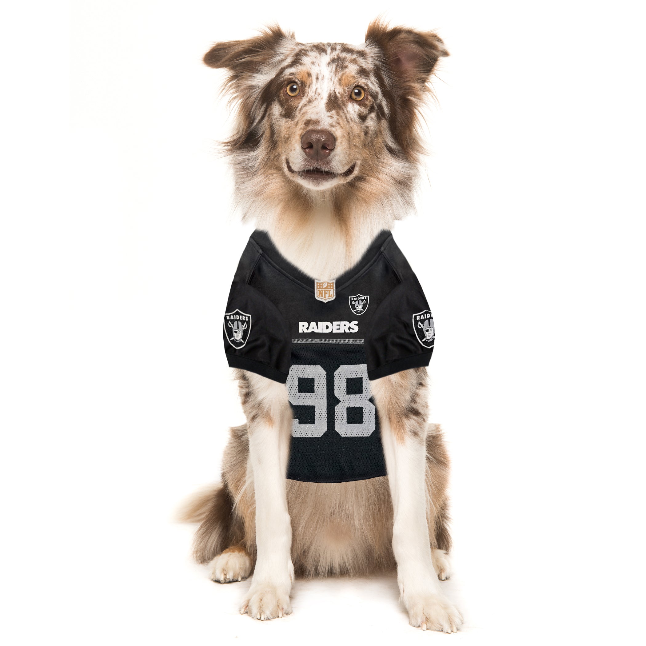 Maxx Crosby Pet Striped Jersey (Oak)