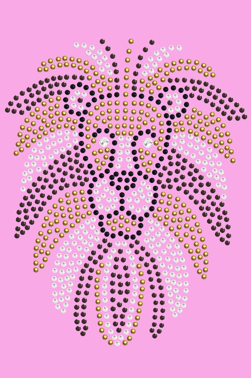 Lion Face - Women's T-shirt