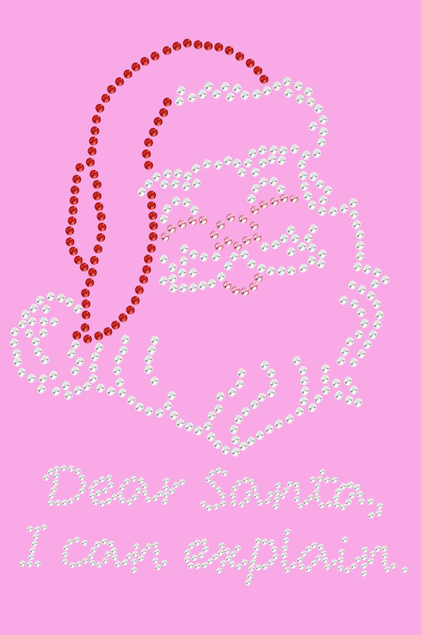 Santa Face - I Can Explain - Women's T-shirt