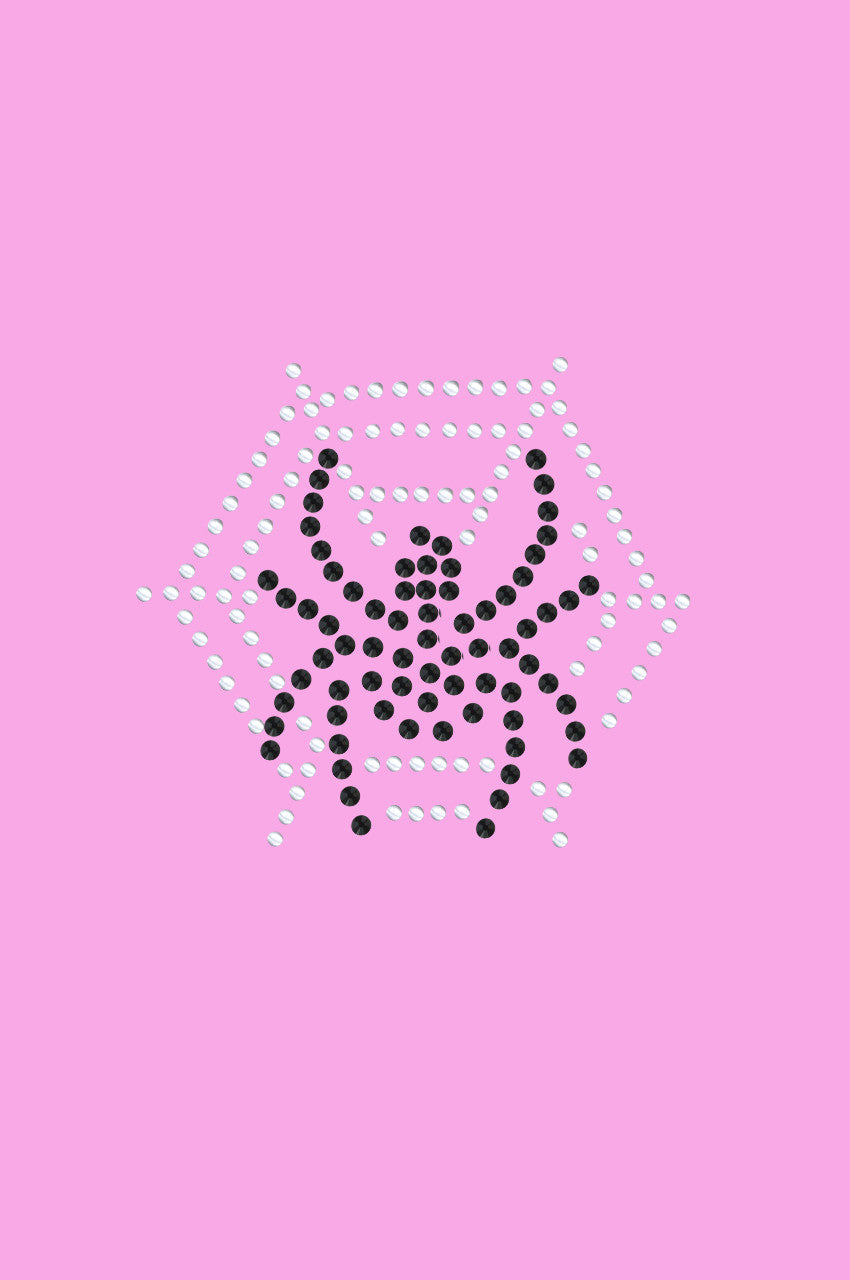 Spider Web & Spider - Womens T-shirt