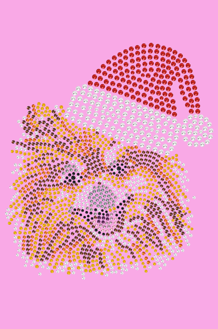 Pomeranian with Santa Hat - Womens T-shirt