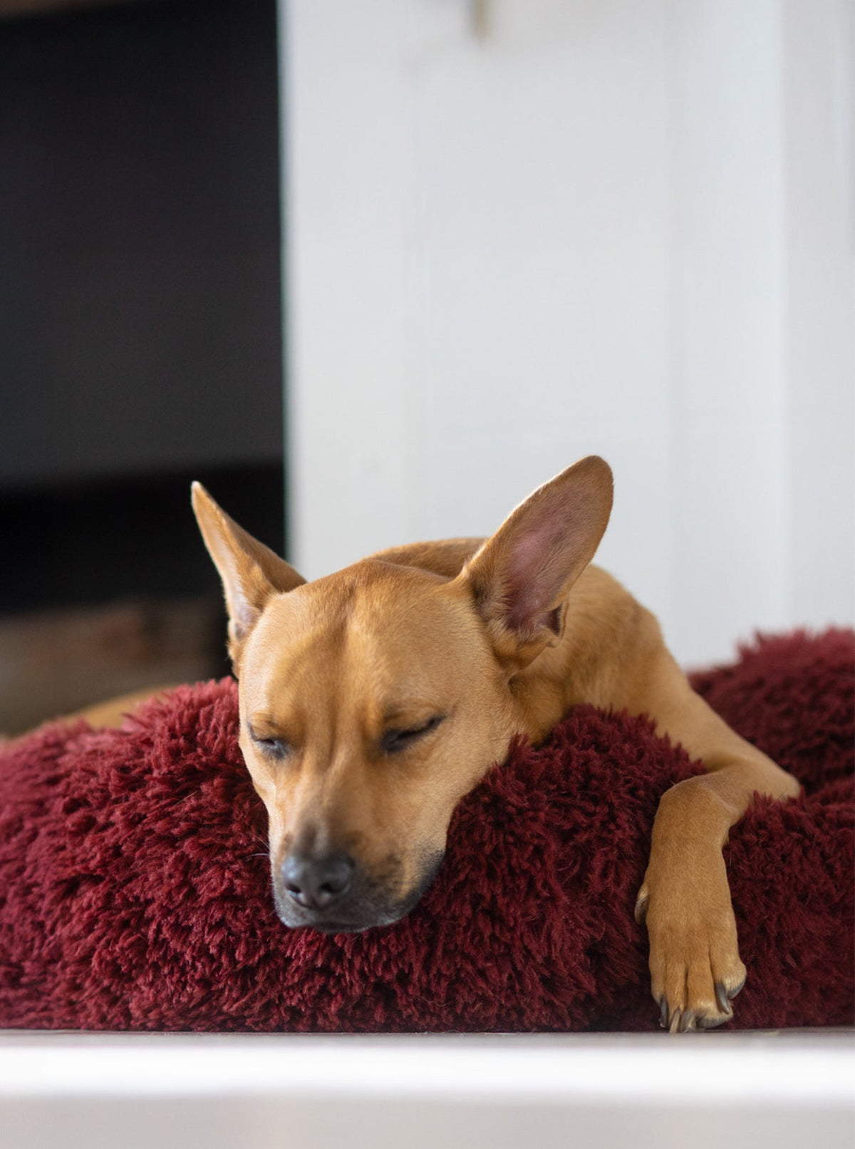POD DOG BED - HT Animal Supply