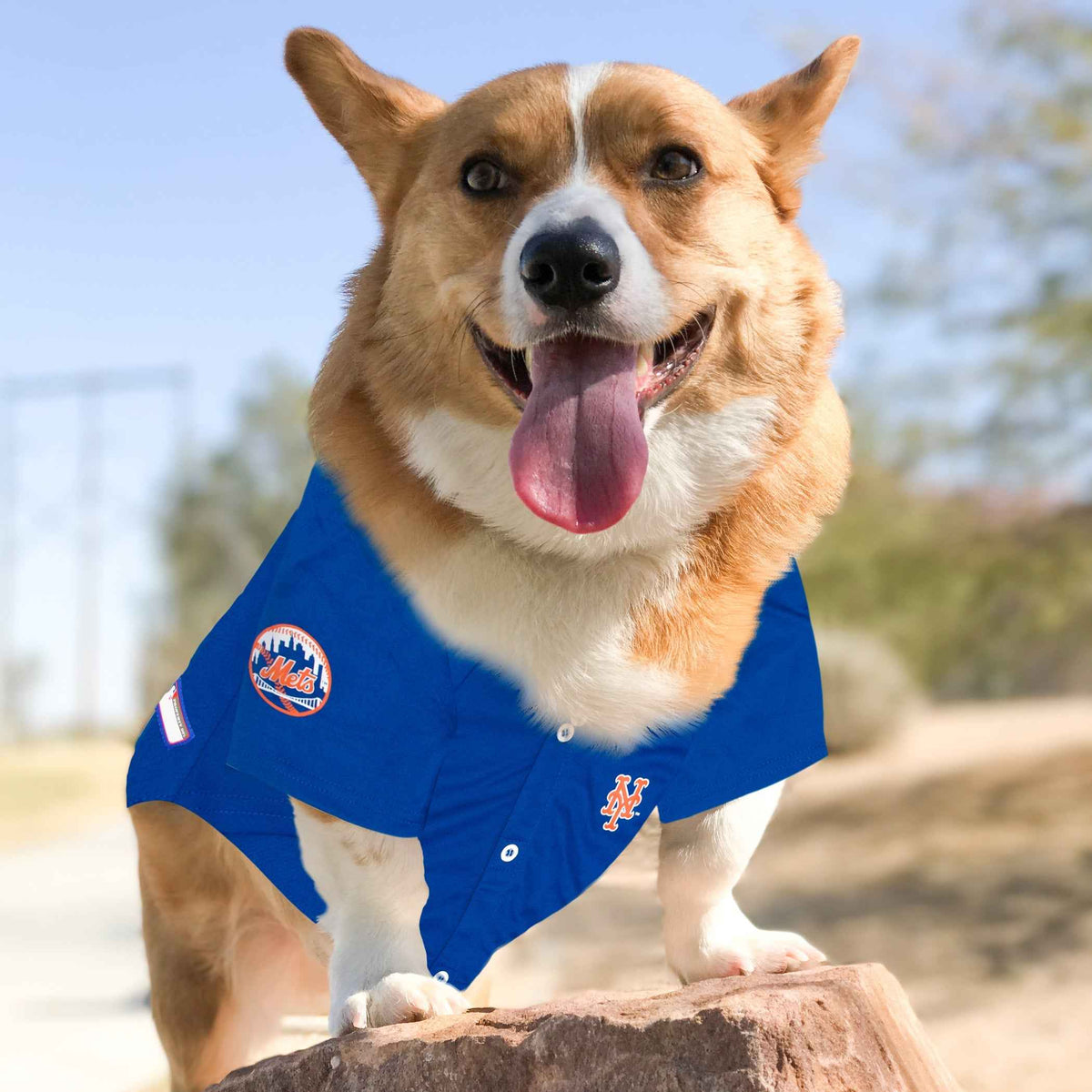 MLB New York Mets Mesh Pet Jersey