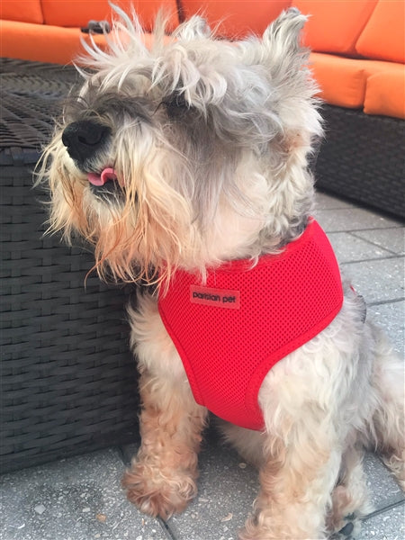 Parisian Pet Freedom Harness-Red | HT Animal Supply