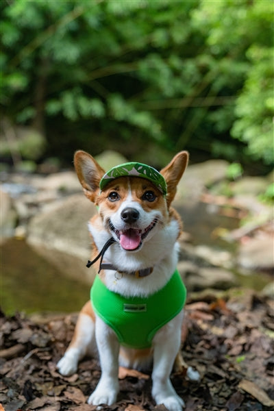 Parisian Pet Freedom Harness-Green