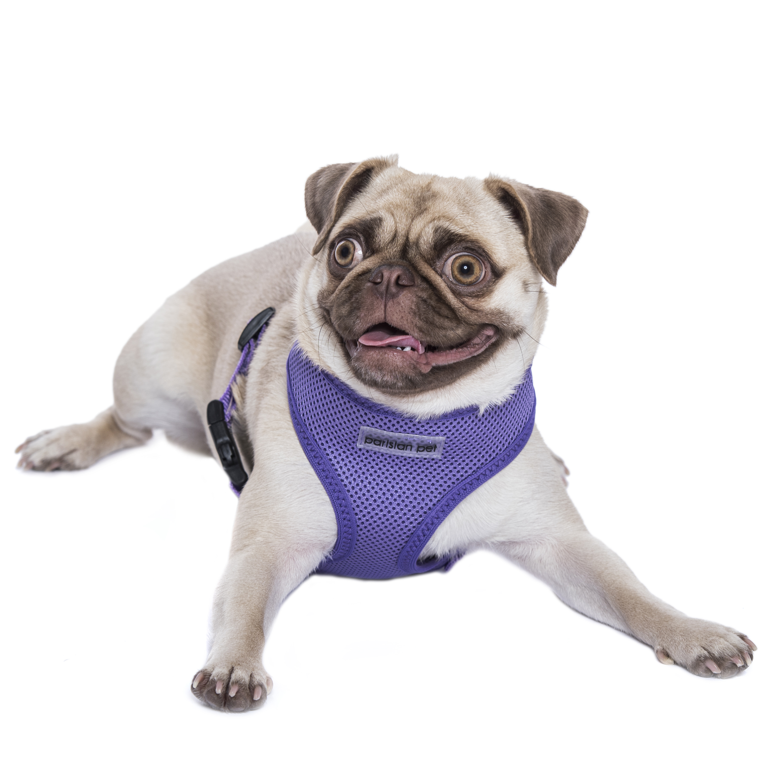 Parisian Pet Freedom Harness Lilac | HT Animal Supply