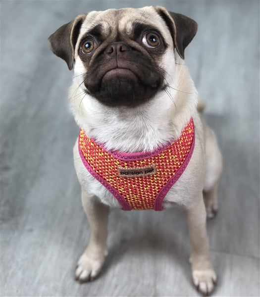 Parisian Pet Sport Net Harness for Dogs & Cats  Comfortable & Adjustable Pet Apparel, Pink Yellow