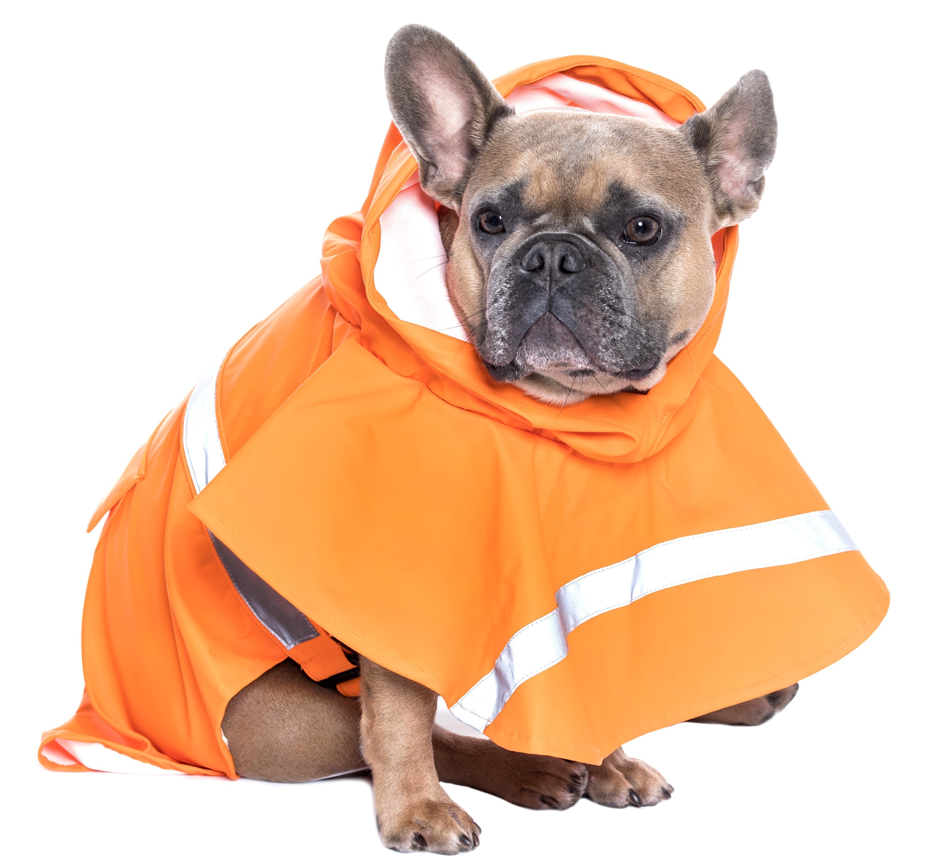 Parisian Pet Orange Raincoat for Dogs & Cats, Waterproof Pet Outerwear, Dog Raincoat for Rain, Pet Rain Protection, Orange