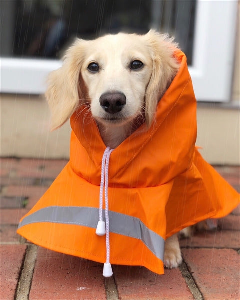 Parisian Pet Orange Raincoat for Dogs & Cats, Waterproof Pet Outerwear, Dog Raincoat for Rain, Pet Rain Protection, Orange