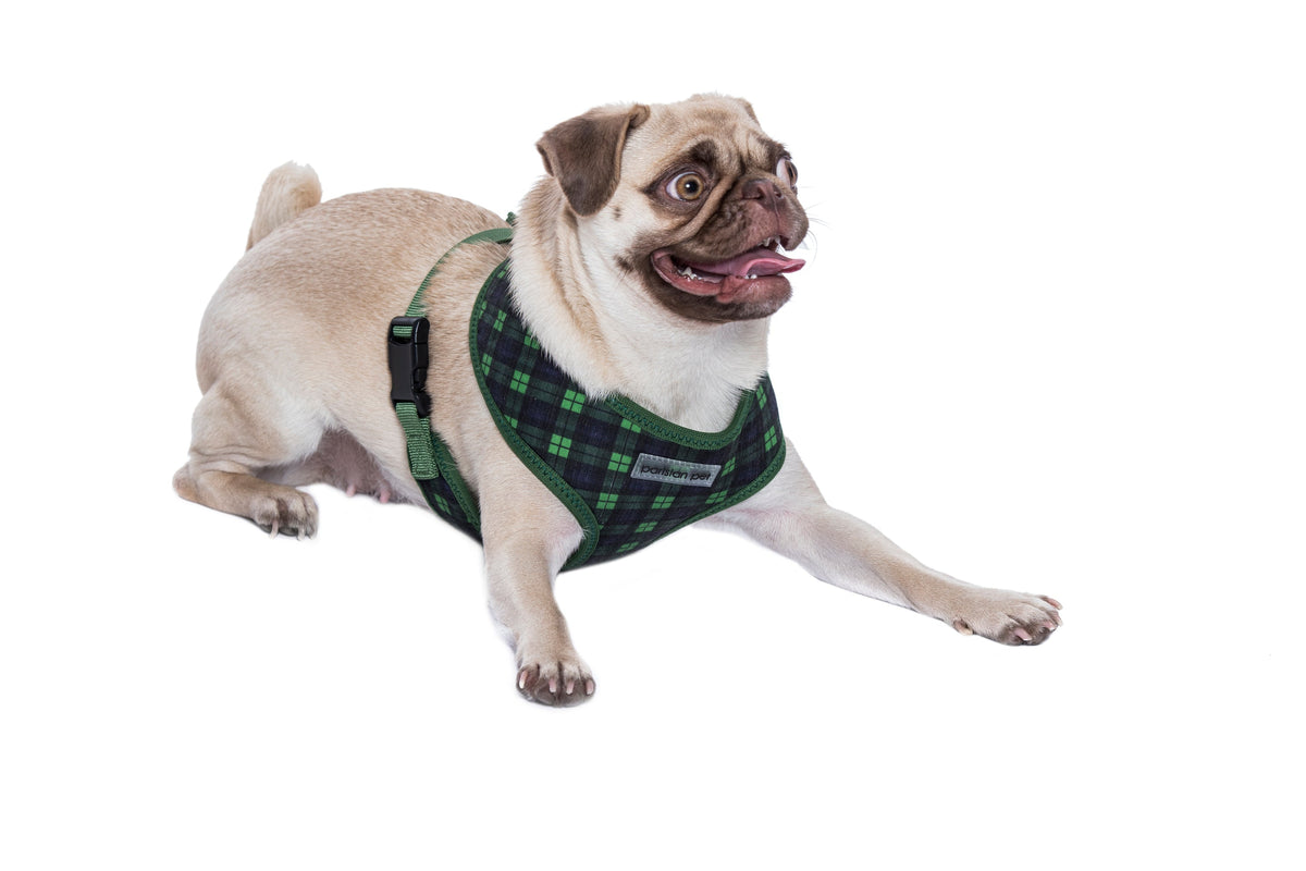 Parisian Pet Freedom Harness Scottish-Green & Blue