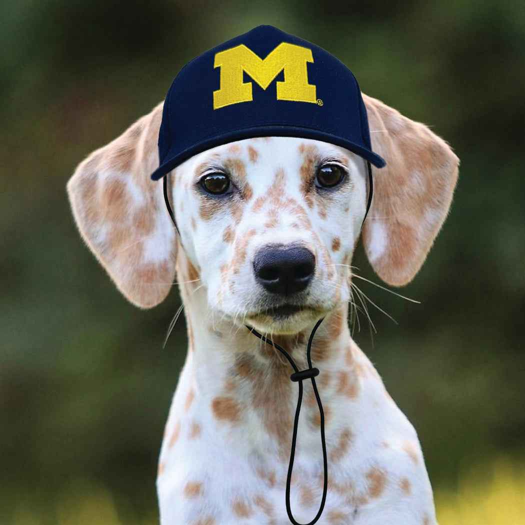 NCAA University of Michigan Wolverines Dog Hat