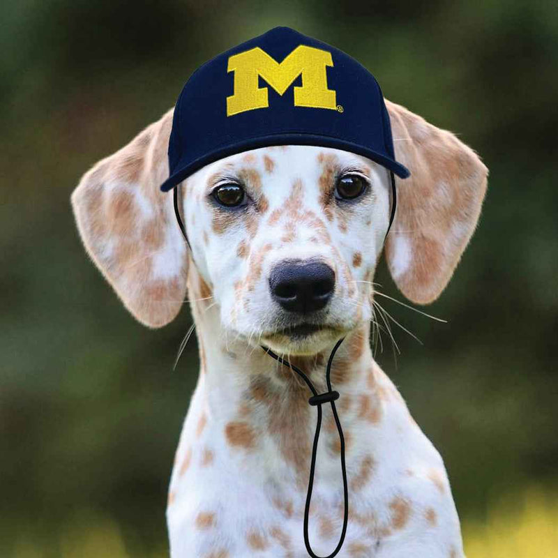 NCAA University of Michigan Wolverines Dog Hat