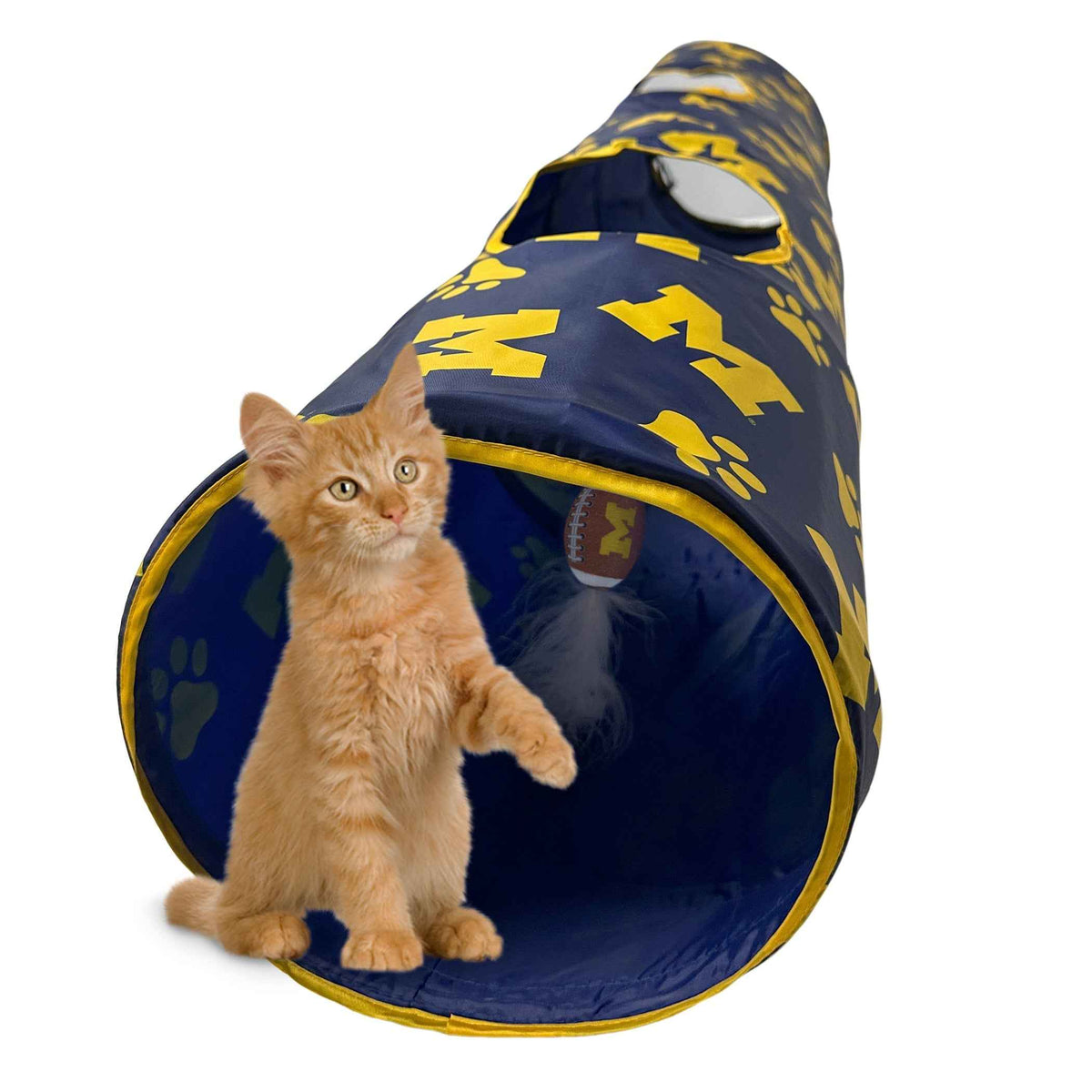 NCAA Michigan Wolverines Boomerang Dog Toy — product image 4