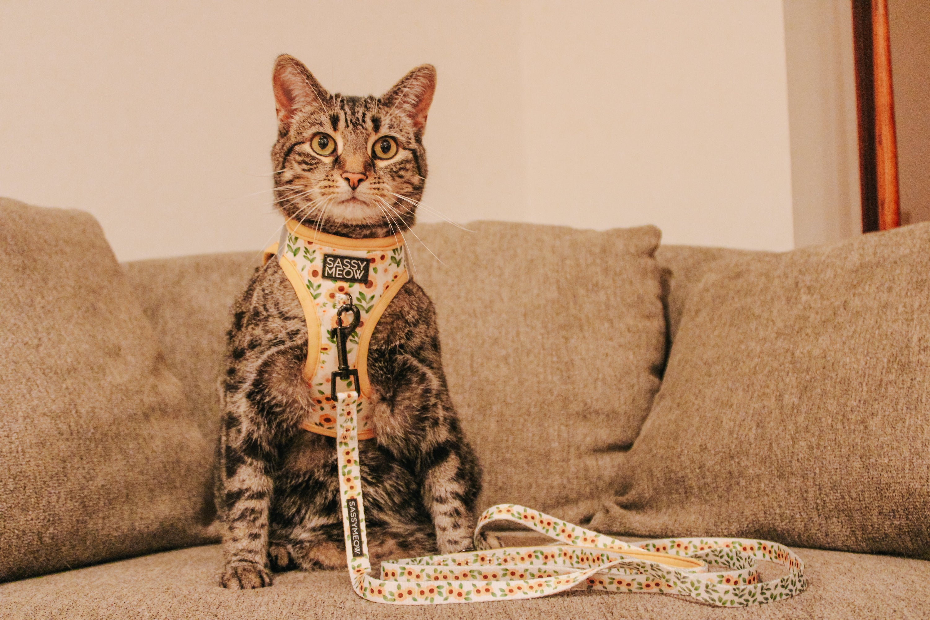 Cat Leash - Sunflower Dreams