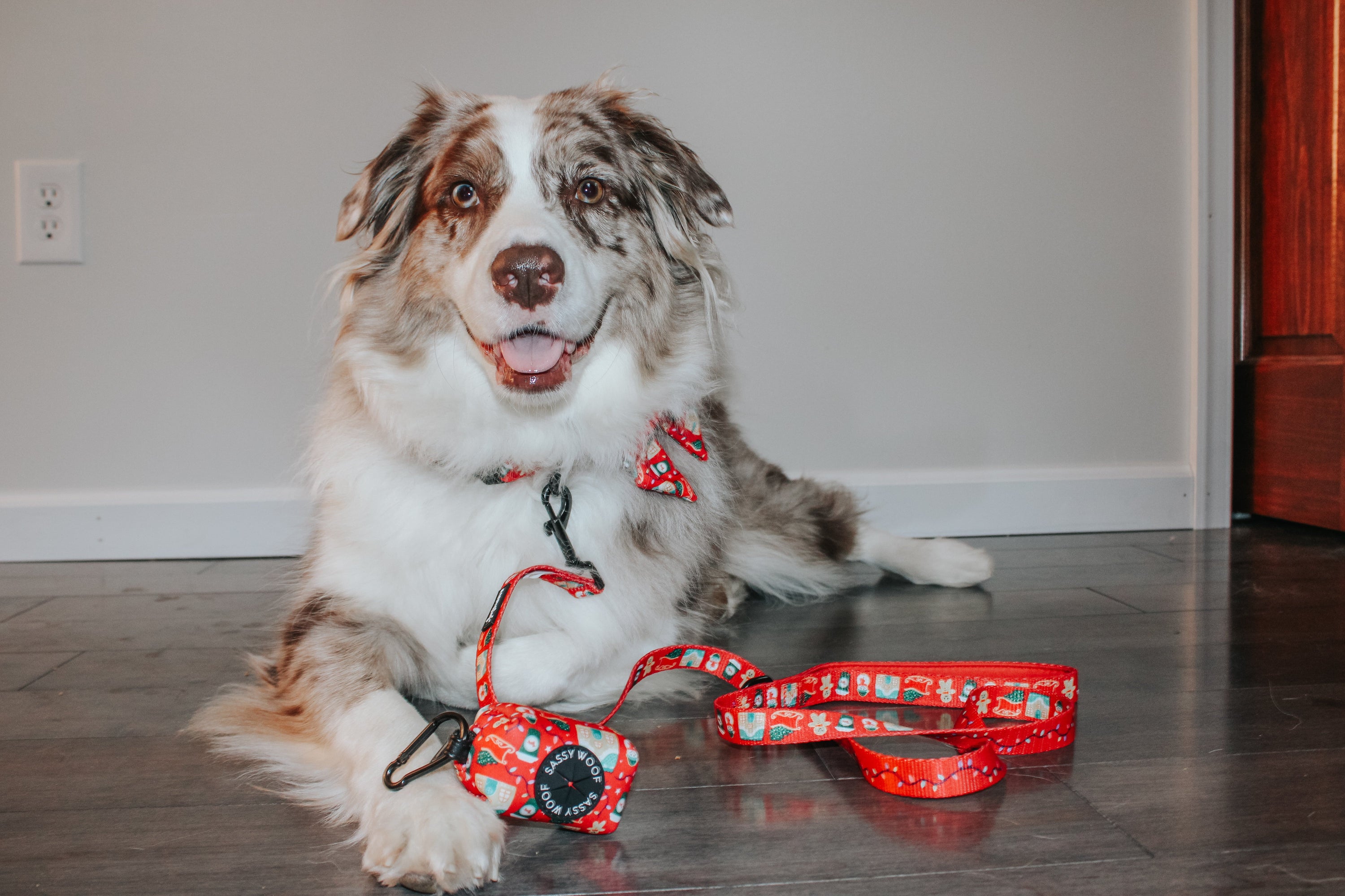 Dog Collar - Sleigh Baby Sleigh
