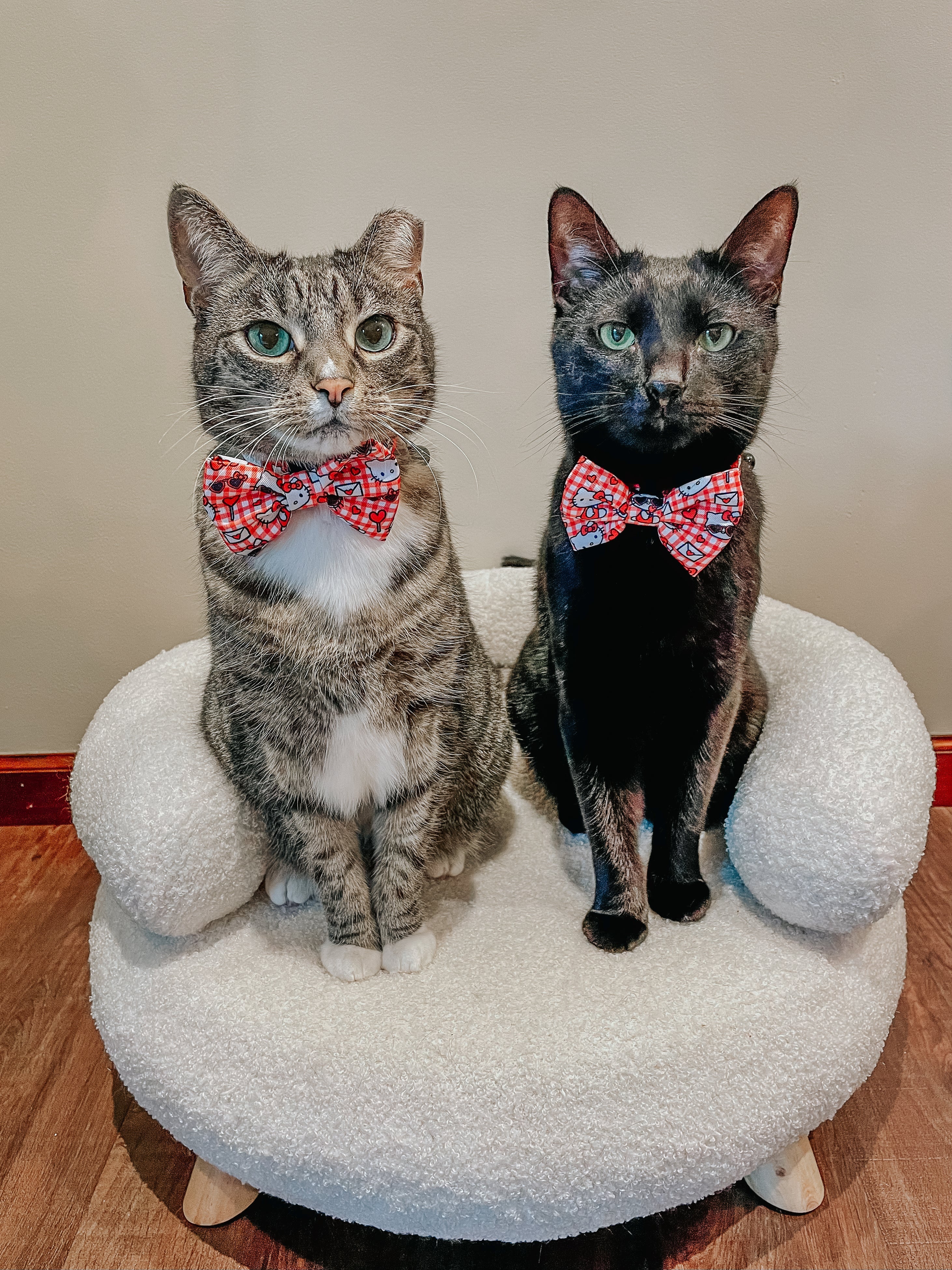 Cat Bowtie - Hello Kitty® Red Classic