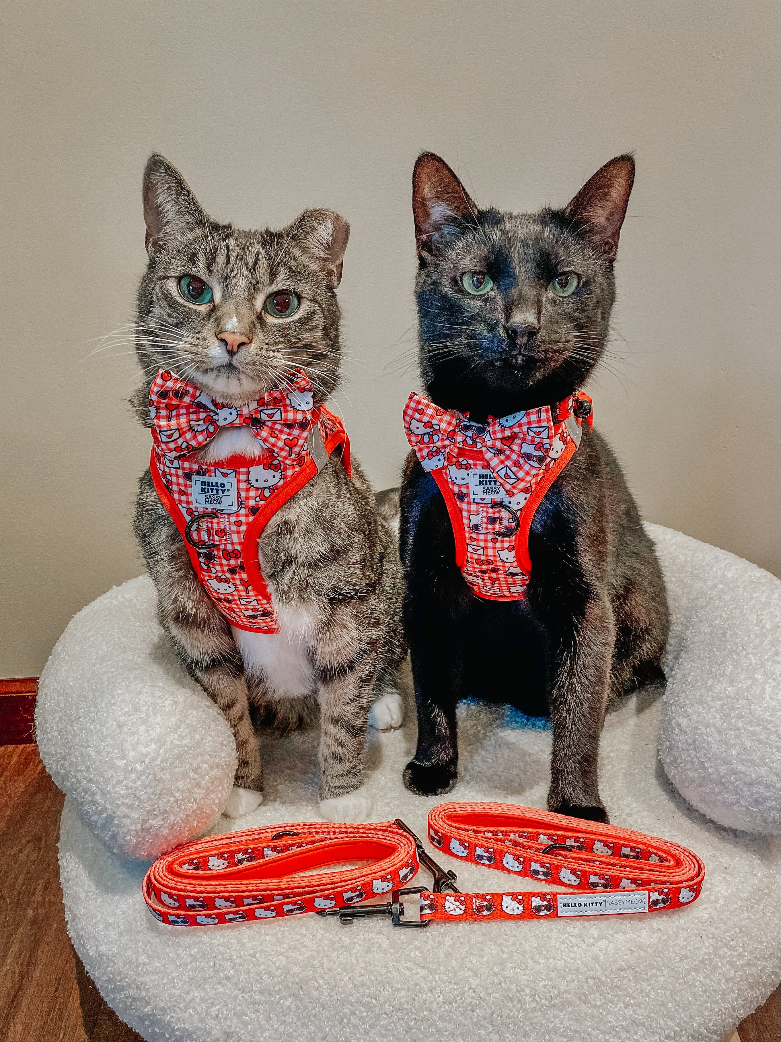 Cat Bundle - Hello Kitty® Red Classic