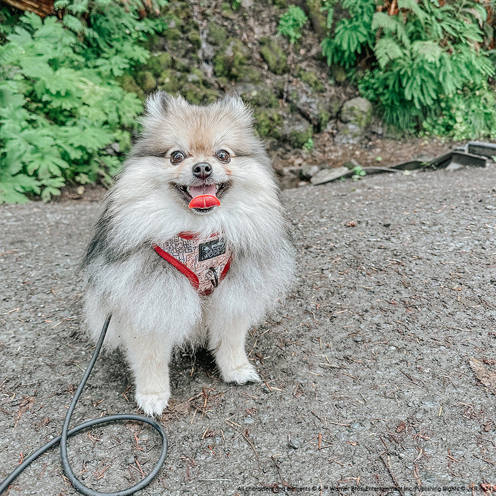 Dog Adjustable Harness - Harry Potter™ Marauders Map™