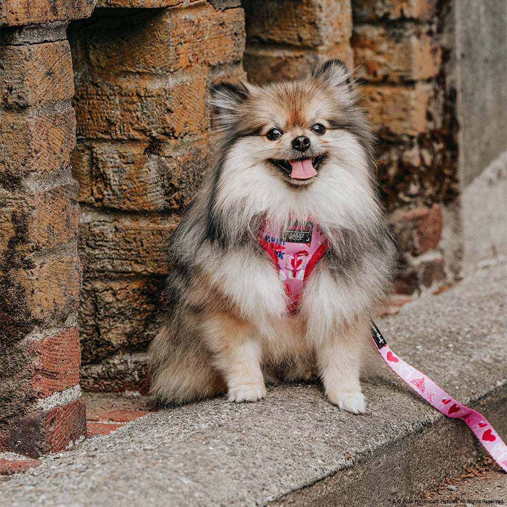 Dog Adjustable Harness - Mean Girls™