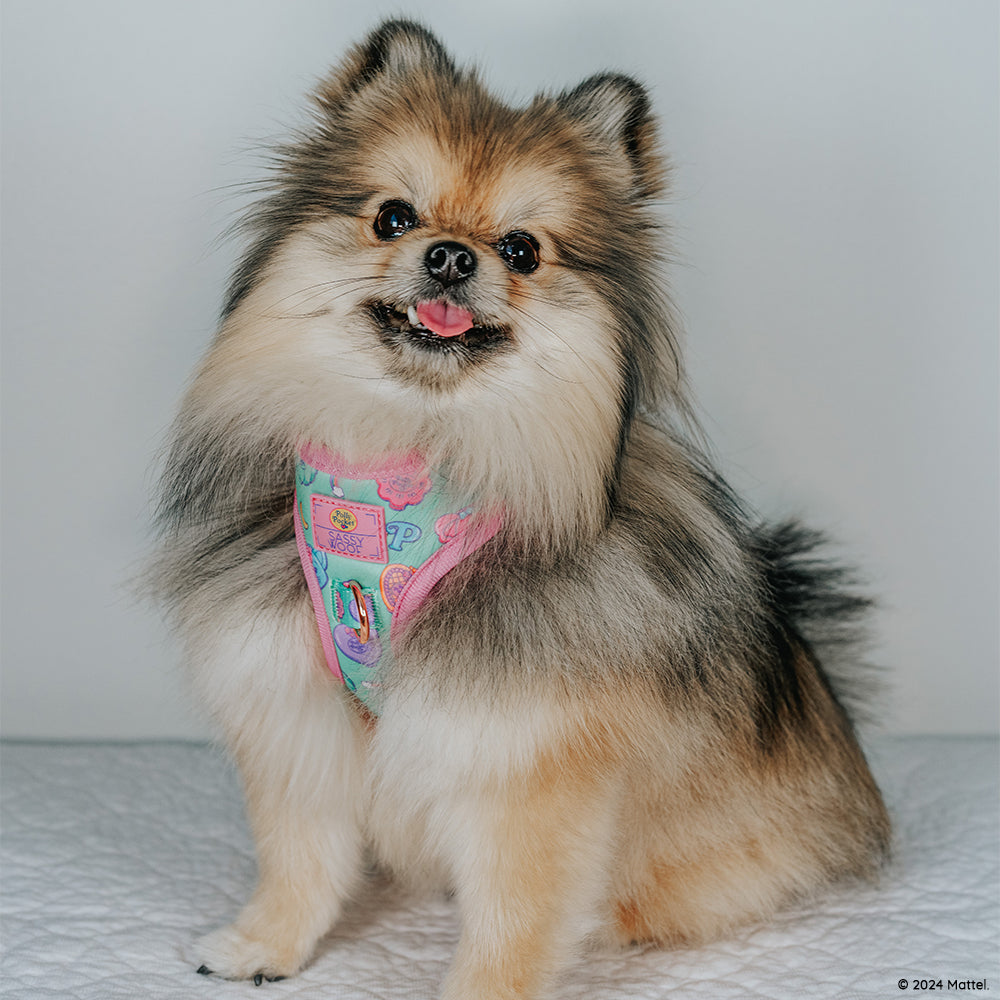 Dog Adjustable Harness - Polly Pocket™