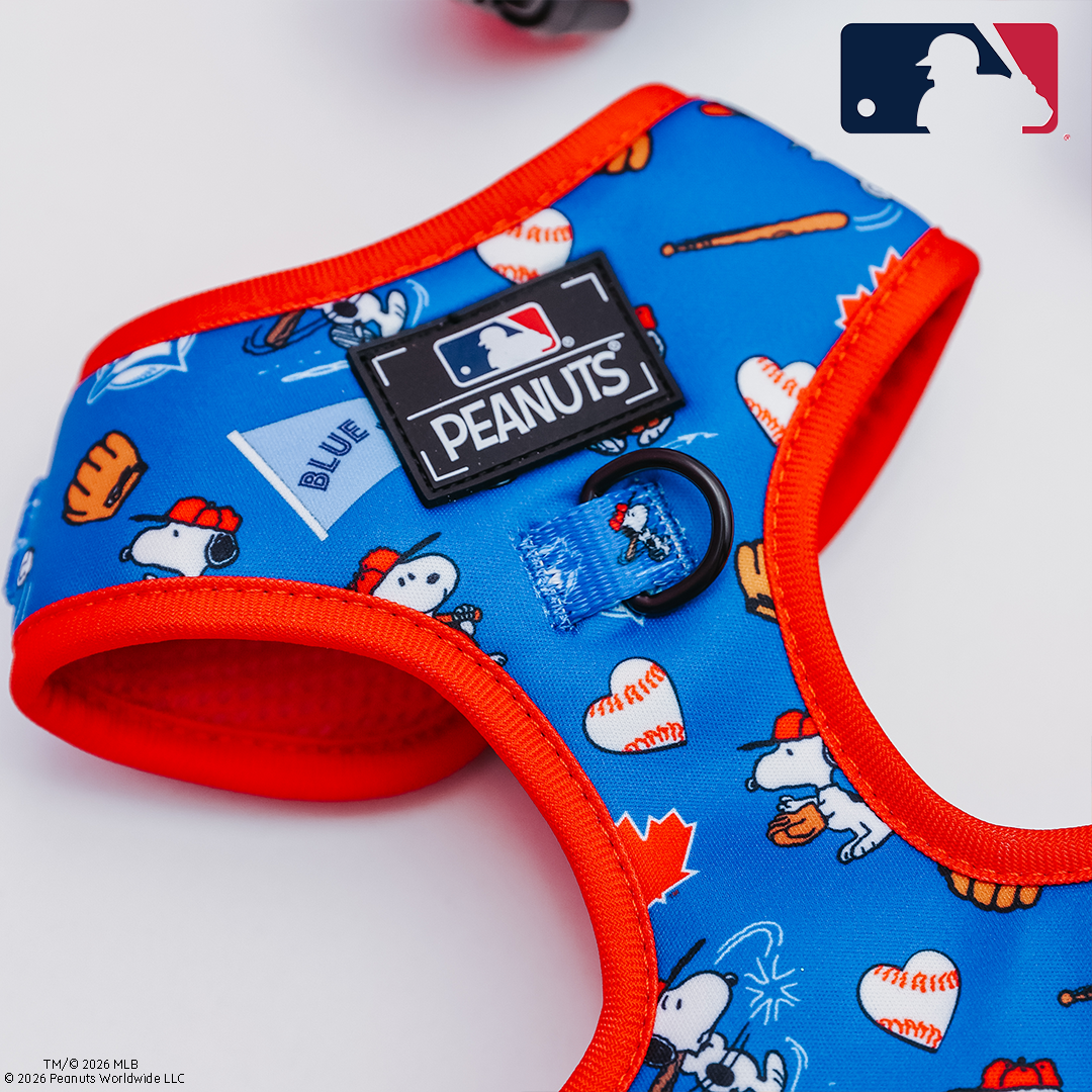 Dog Adjustable Harness - MLB™ x Peanuts™ Toronto Blue Jays™